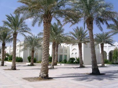 BahrainSAQuatar12