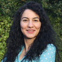 Koldas Meral